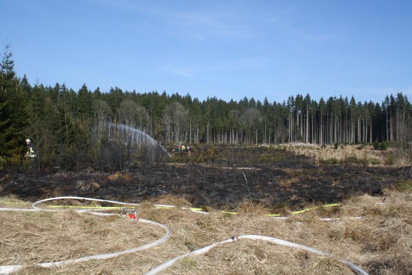 Waldbrand