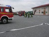 2010