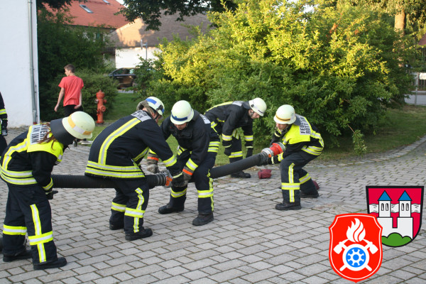 24 06 2015 5065 LA Wasser