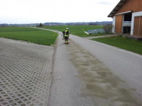 Ölspur Dinding - Schalldorf