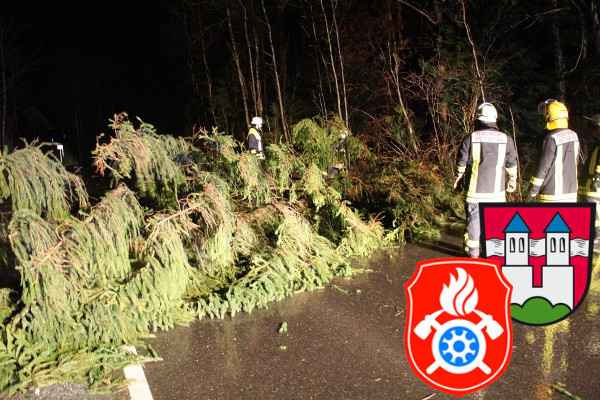 22 01 2012 Baum auf Strasse Rotter Forst