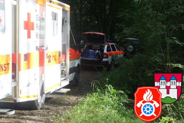 30 07 2012 6631 Unterstuetzung RD RotterForst