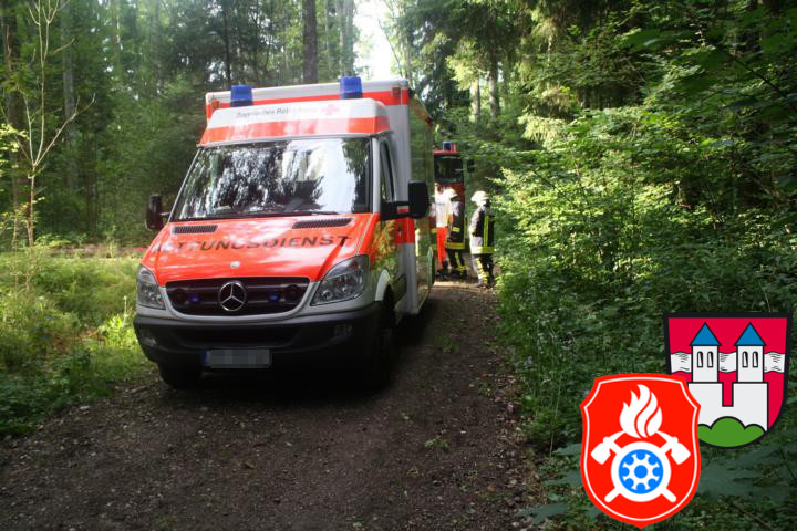 30 07 2012 6636 Unterstuetzung RD RotterForst