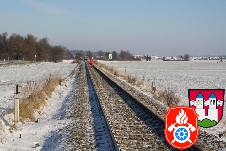 IMG 7713