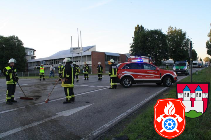 13 06 2013 9484 VU B15 Einm Alpma