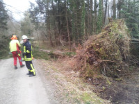 Fahrzeug eingeschlossen - Forst