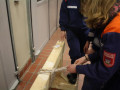 IMG 4359