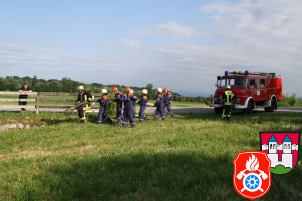 21 06 2013 9626 Jugenduebung