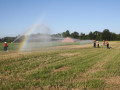 IMG 6678