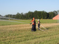 IMG 6679
