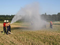 IMG 6683