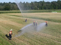 IMG 6691