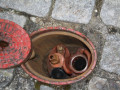 TrpM1 21 06 2012 0052