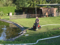 IMG 3786