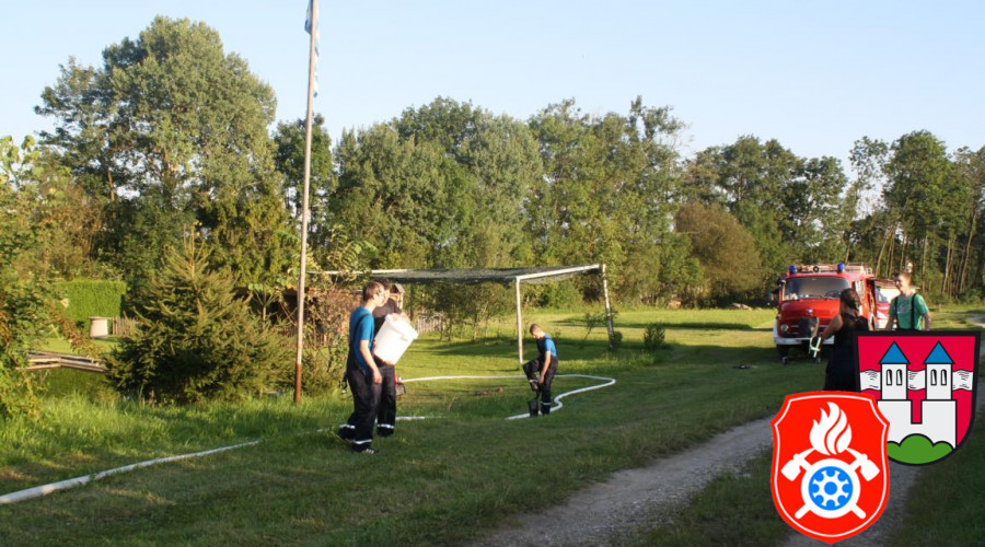 IMG 3799