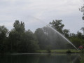 IMG 3631