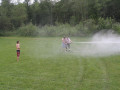 IMG 3651
