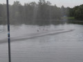 IMG 3659