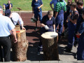IMG 6786