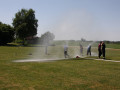 IMG 6842
