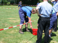 IMG 6849