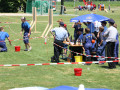 IMG 6853