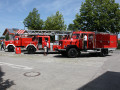 IMG 6884
