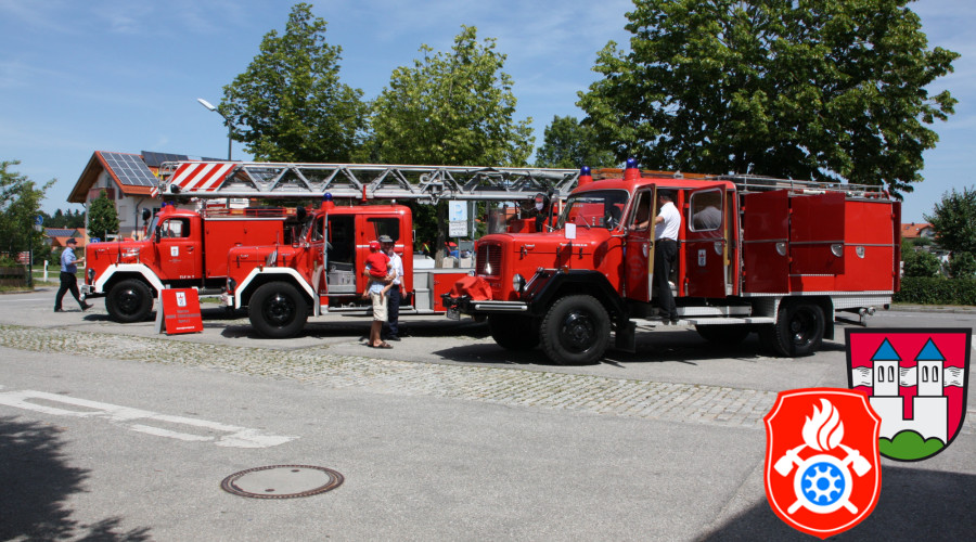 IMG 6884