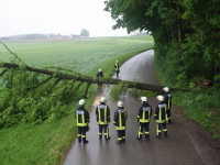 Baum auf Fahrbahn