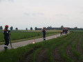 IMG 6975