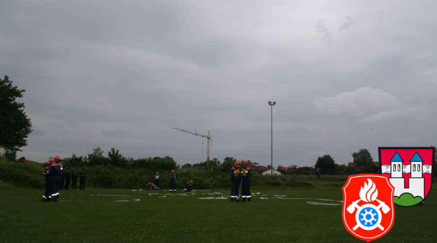 IMG 7005
