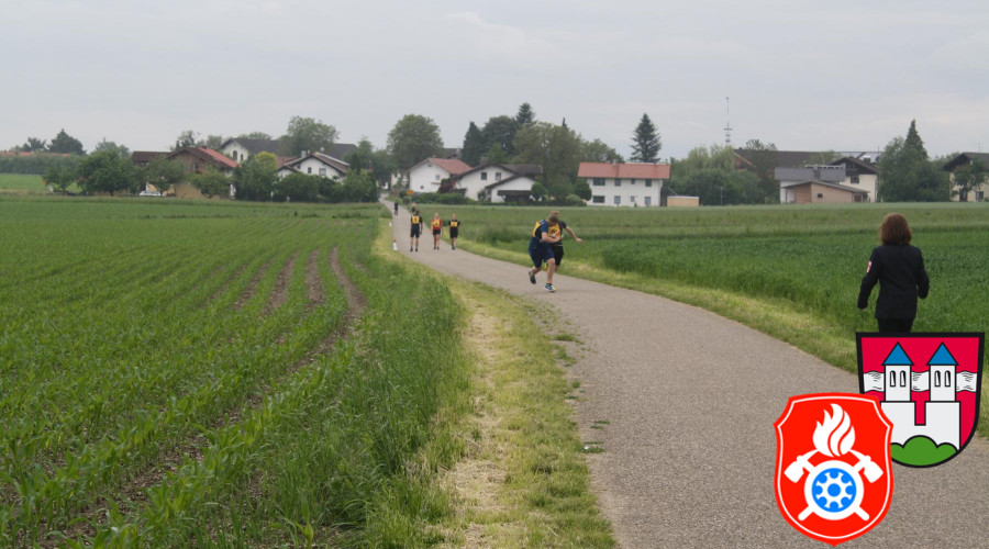 IMG 7043