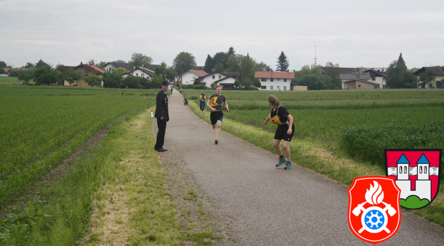 IMG 7102