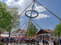 Maibaumaufstellen am 1. Mai