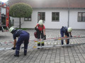 IMG 7491