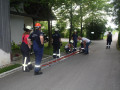 IMG 7495