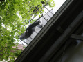 IMG 7489