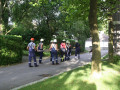 IMG 7524