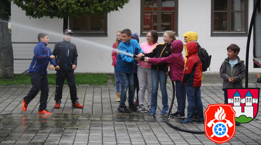IMG 7662