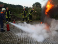 IMG 7850