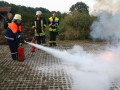 IMG 7854