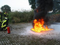 IMG 7859