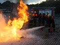 IMG 7866