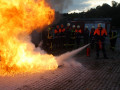 IMG 7870