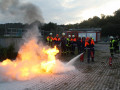 IMG 7873