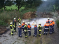 IMG 7885