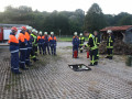 IMG 7831