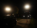 IMG 8118