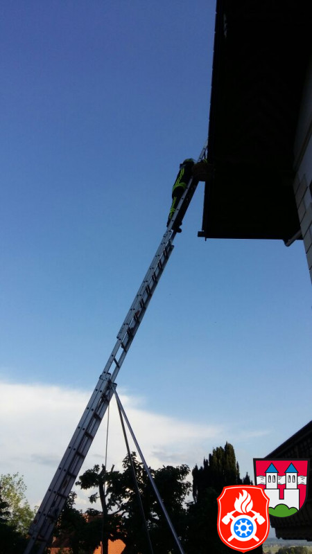 kleintierrettung rott inn 11 05 2018