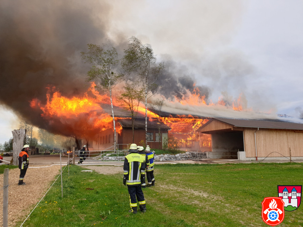 2019 04 24 BrandHaiming  1 